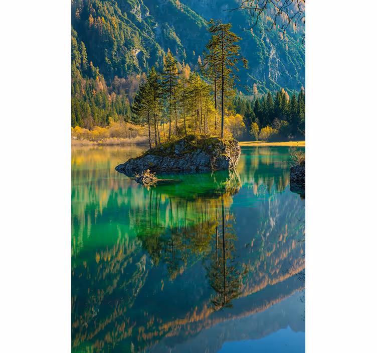 Copac reflectat natura Rulou - TenStickers