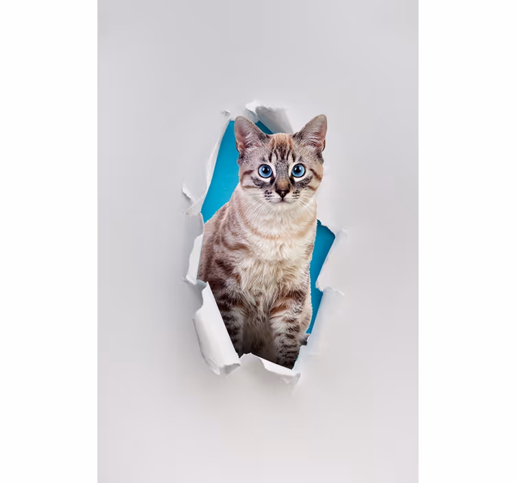 Pisică diverse rulouri pentru animale - TenStickers