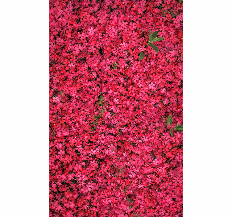 Rulou geam flori și plante abundență vibrantă - TenStickers