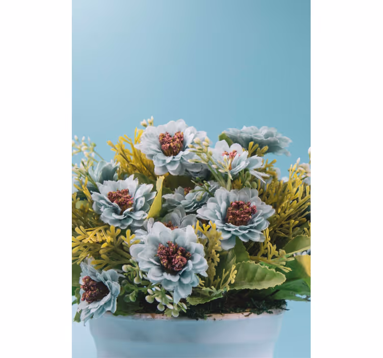 Rulou geam flori și plante aranjament suculent - TenStickers