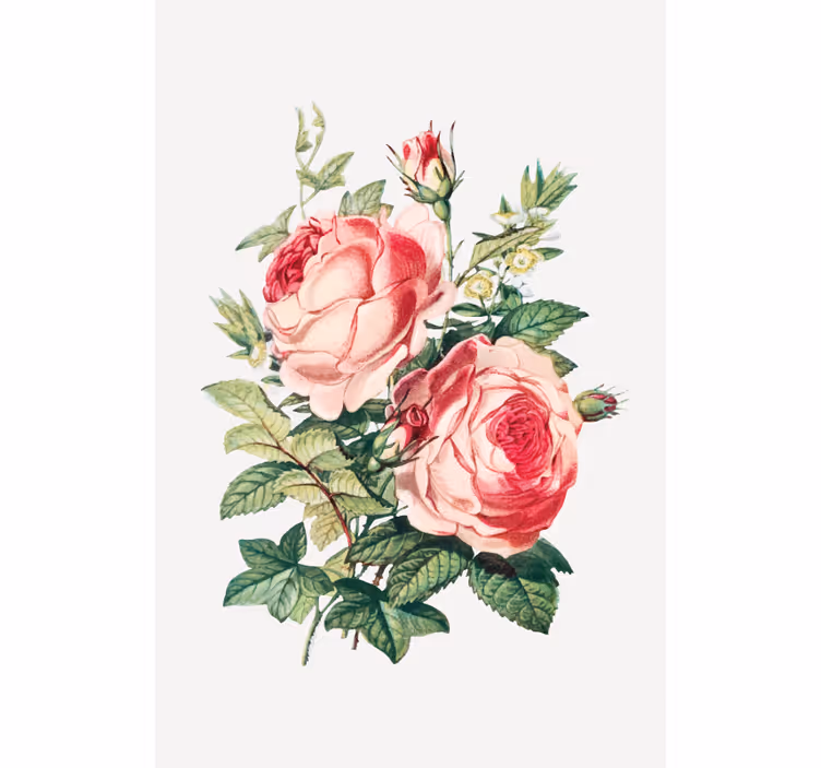 Rulou geam flori și plante trandafir romantic înflorește - TenStickers
