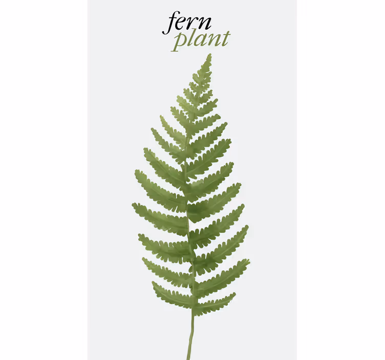 Rulou geam flori și plante planta verde feriga - TenStickers