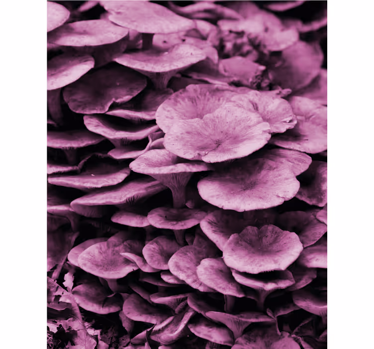 Rulou geam flori și plante straturi florale vibrante - TenStickers
