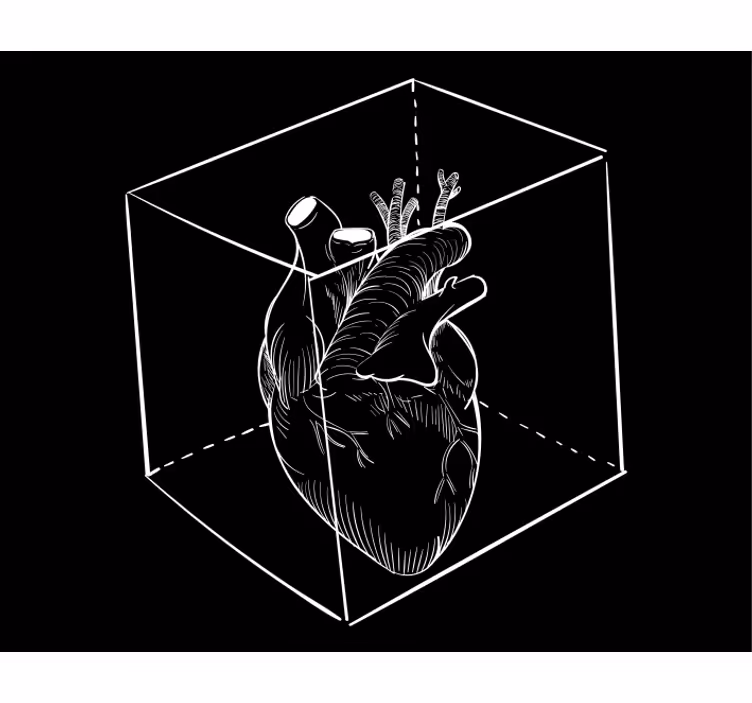 Rulou geam distracție ilustrație de anatomie a inimii - TenStickers