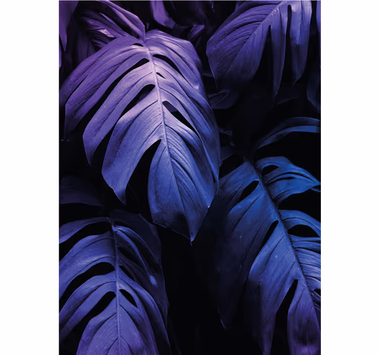 Rulou geam flori și plante frunzișul monstera deliciosa - TenStickers