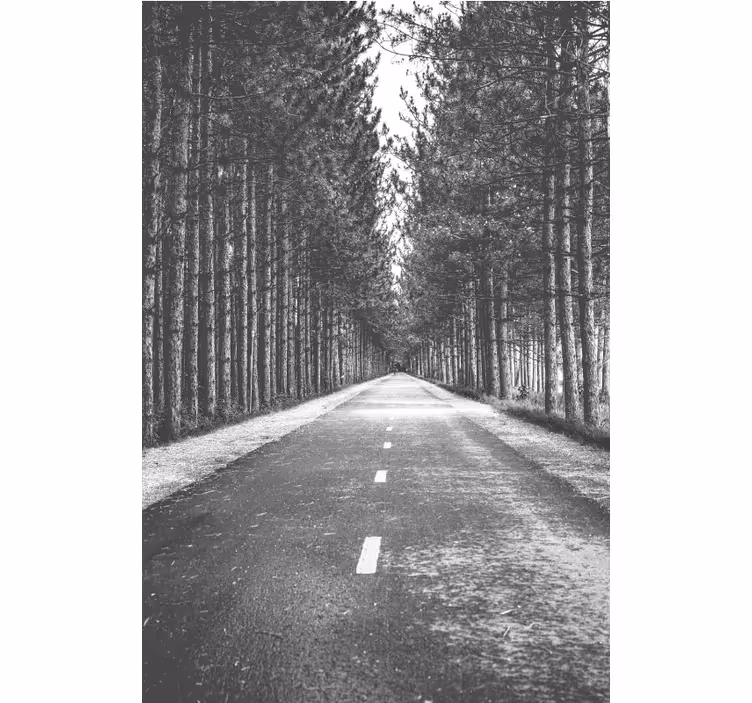 Rulou geam calea forestieră senină - TenStickers