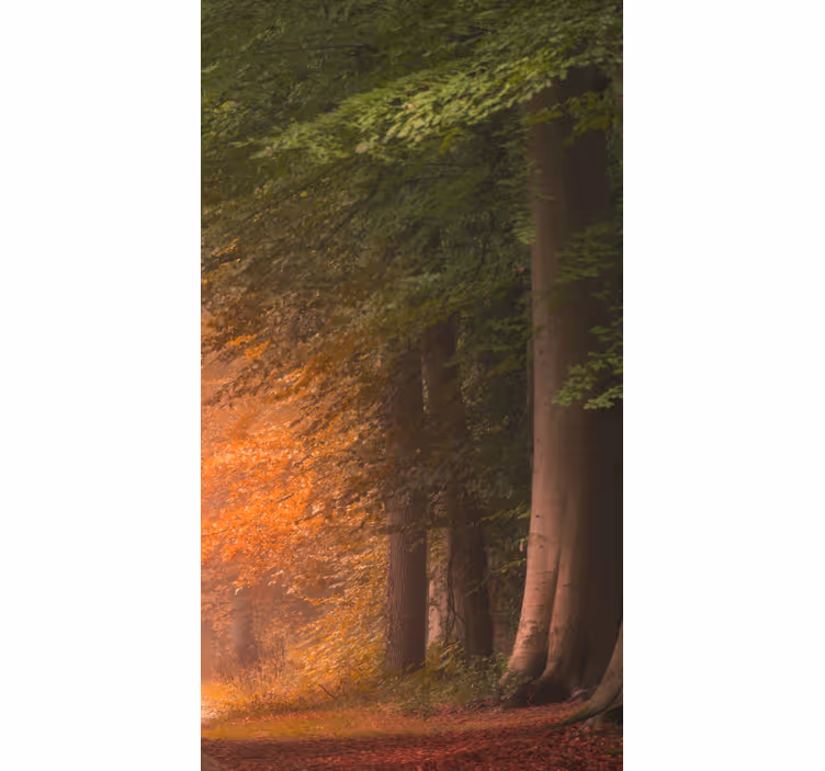 Deep fantastic forest original roller roll - TenStickers