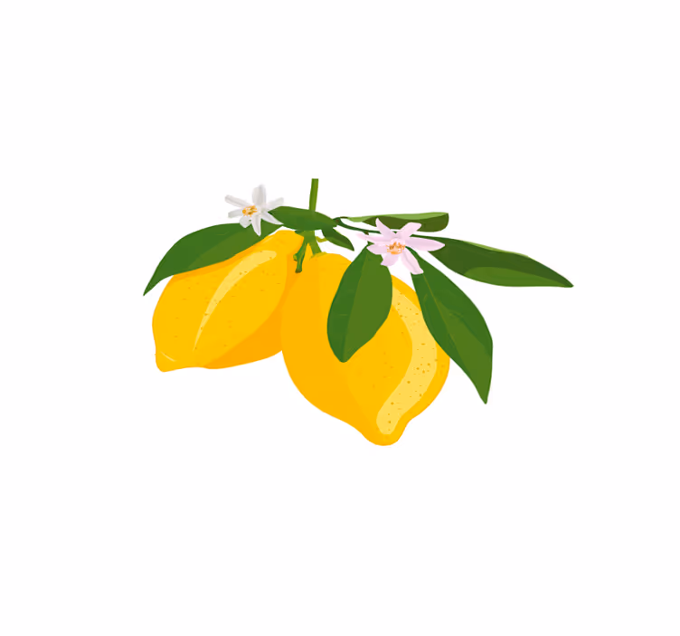 Placemate florale cu citrice de lămâie - TenStickers