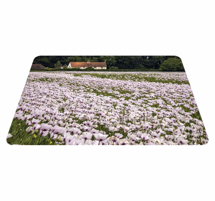 Naproane original câmp de flori de lavandă - TenStickers