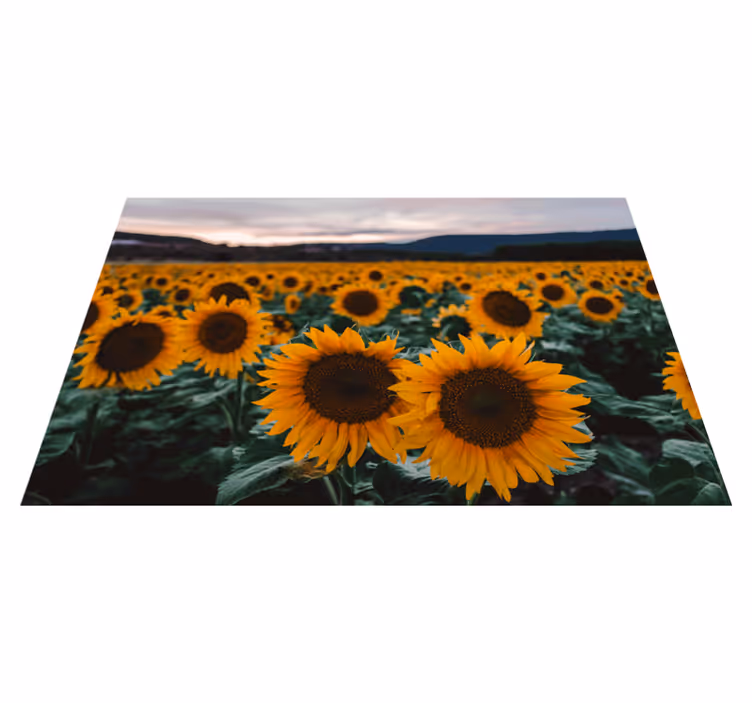 Naproane original priveliște câmp cu floarea-soarelui - TenStickers