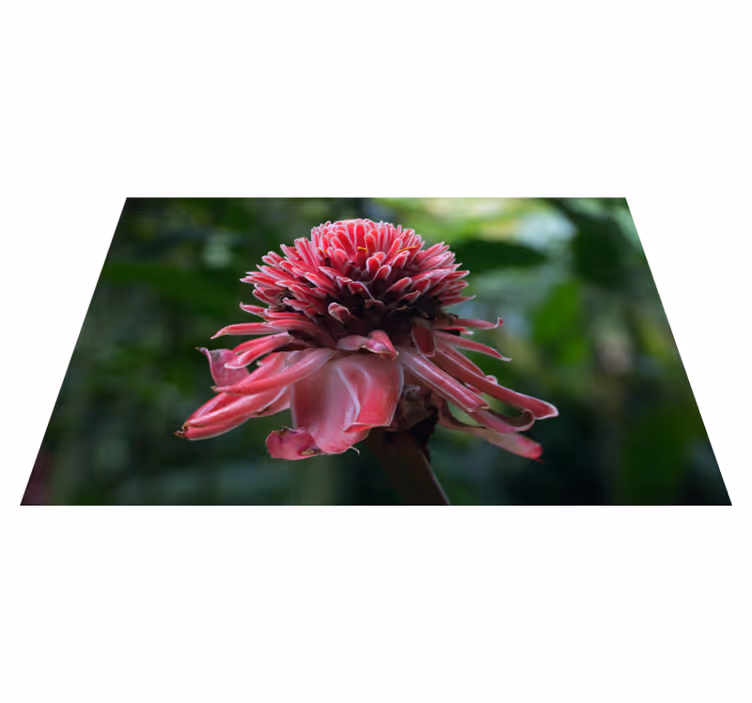 Naproane original aranjament floral tropical - TenStickers