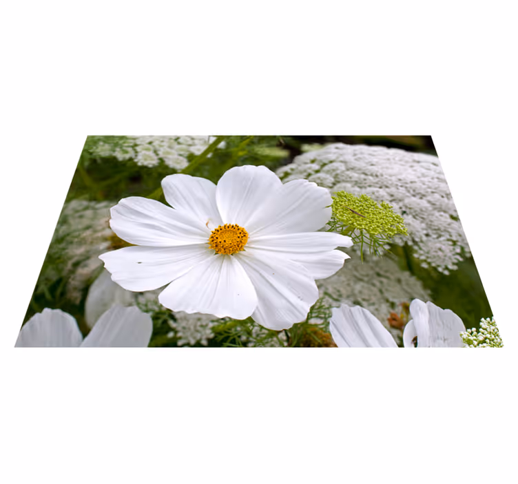 Naproane original floare albă elegantă - TenStickers