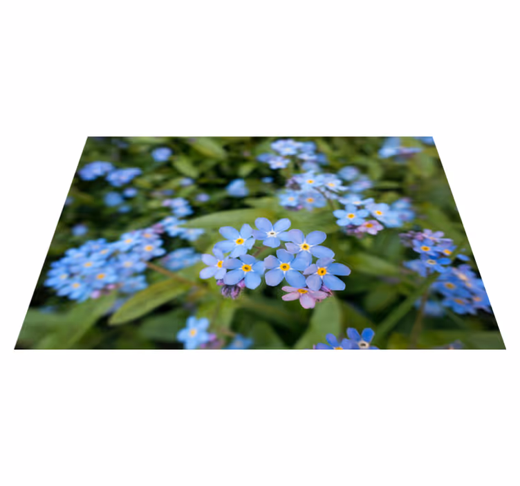 Plăcute florale albastre drăguțe - TenStickers