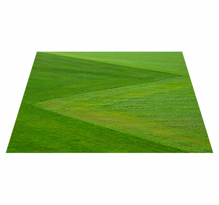 Naproane pentru copii aranjamente creative cu orez - TenStickers
