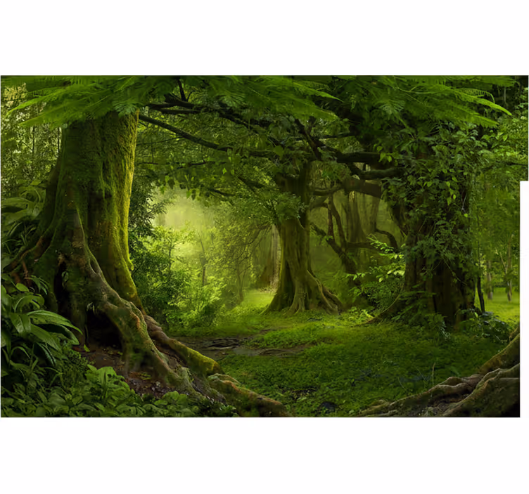 Păduri fototapet evadare în pădure luxuriantă - TenStickers