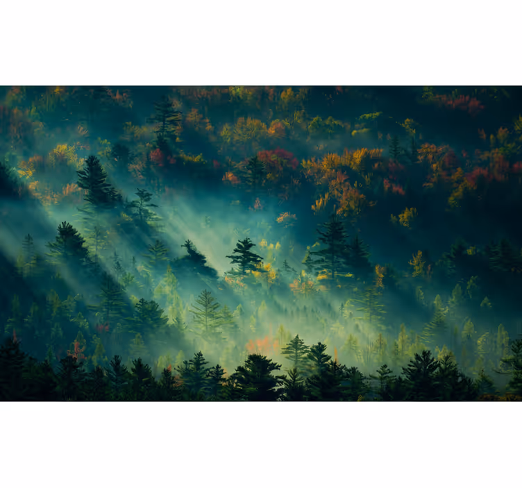 Păduri fototapet pădurea melancolică - TenStickers