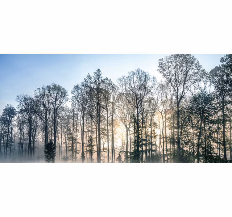 Păduri fototapet pajiște ceață de dimineață - TenStickers