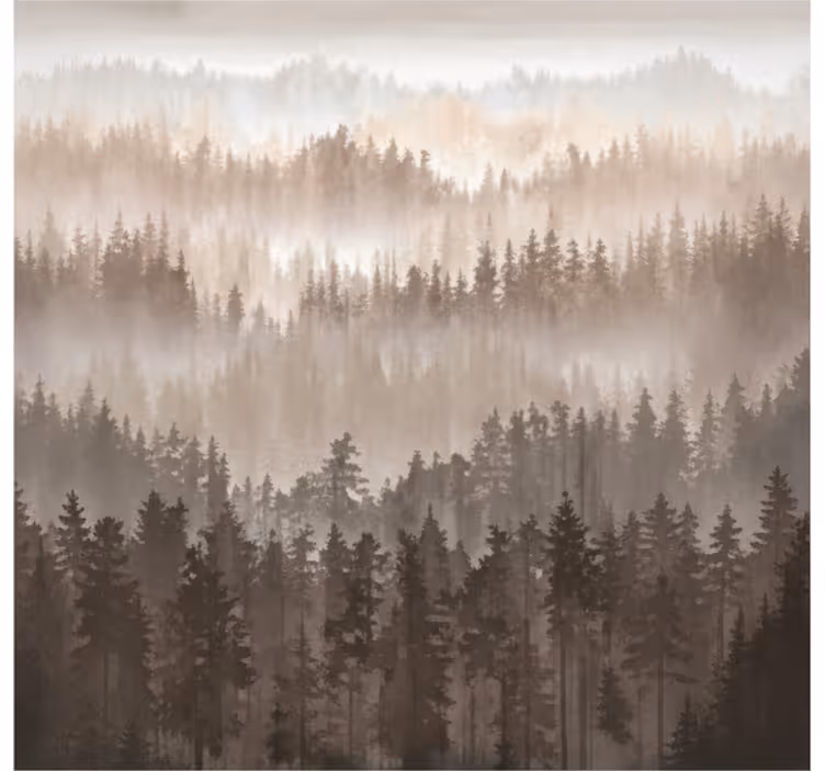 Fototapet peisaje straturi de pădure de lemn - TenStickers