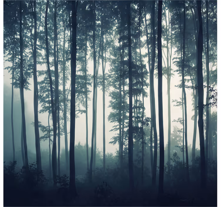 Păduri fototapet pădure zen pictată - TenStickers