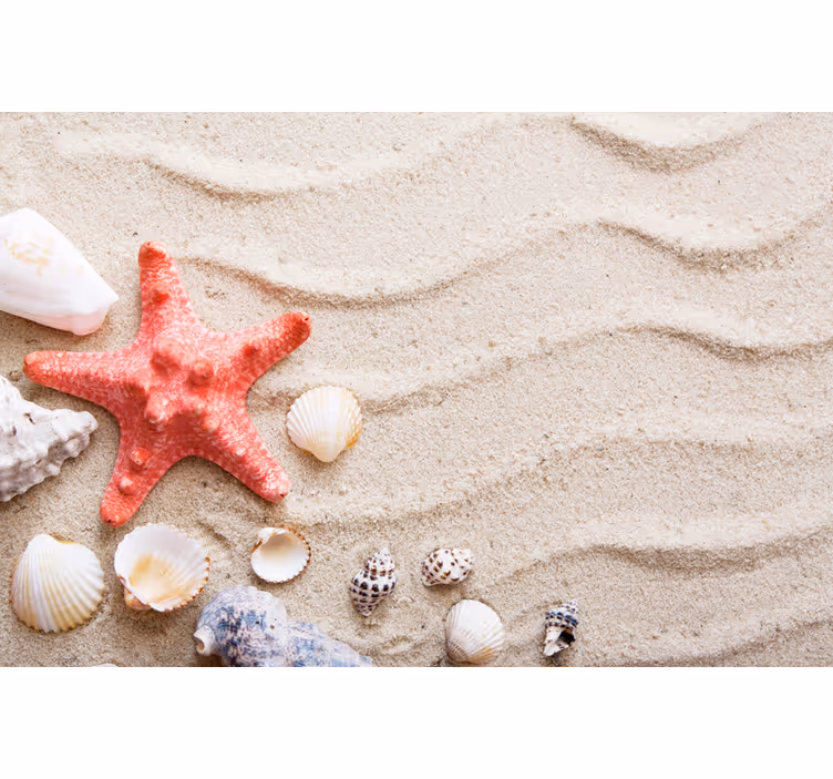 Fototapet baie stele de mare și scoici pe nisip - TenStickers