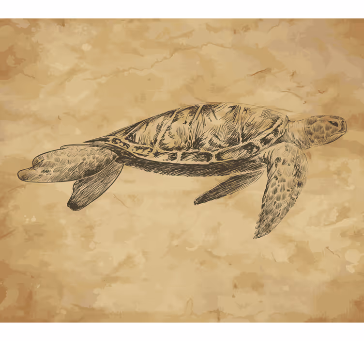 Fototapet bej cu ilustrație de broască țestoasă - TenStickers
