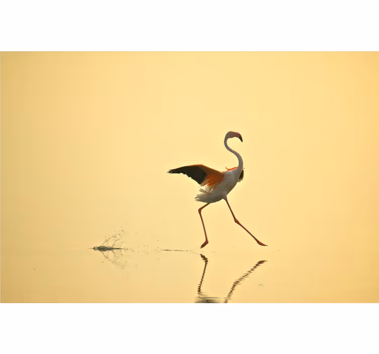 Fototapet galben cu flamingo amuzanți alergând - TenStickers