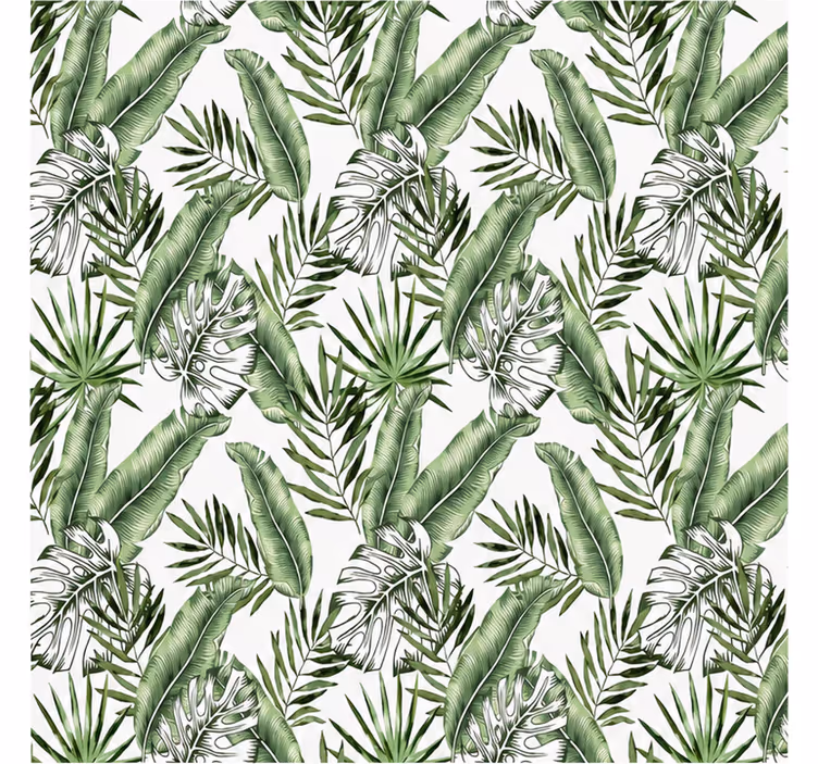 Fototapet natura frunze monstera verzi - TenStickers
