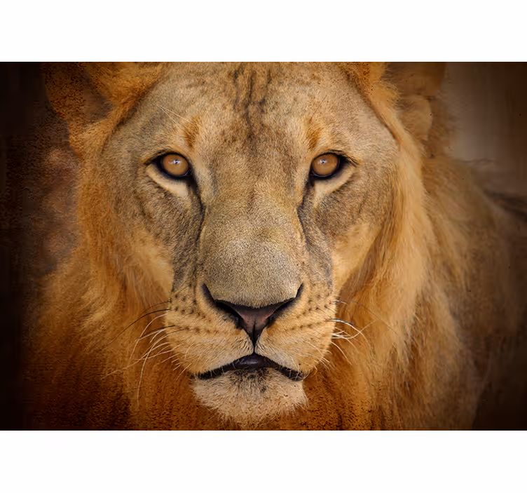 Murală de animale de leu sălbatic - TenStickers