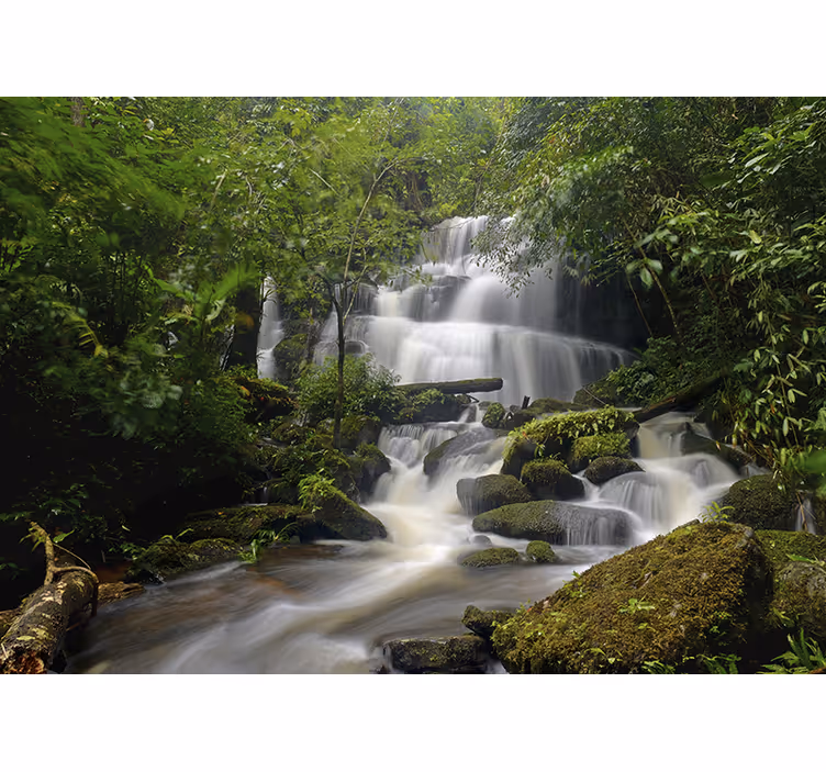 Murală de pădure și cascade - TenStickers