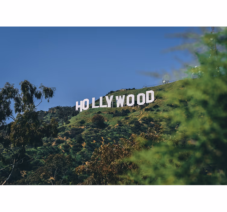 Pictură murală cu semn de hollywood - TenStickers