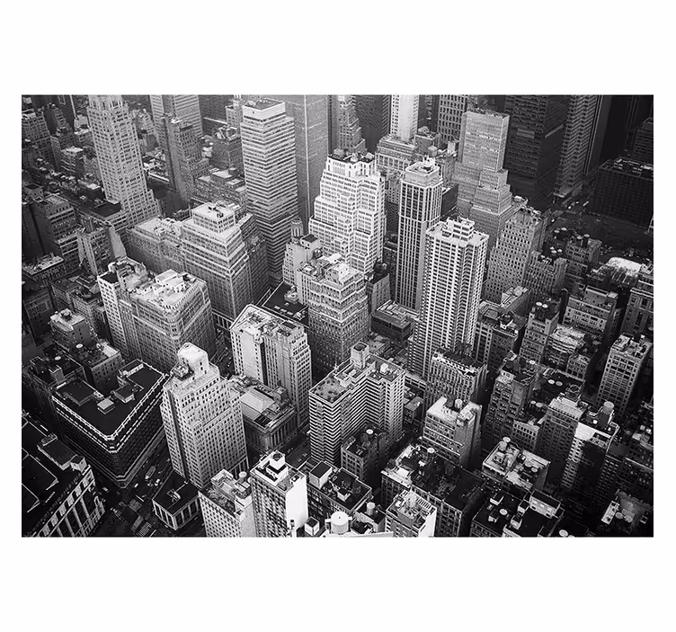 Murală de oraș new york aerian alb-negru - TenStickers