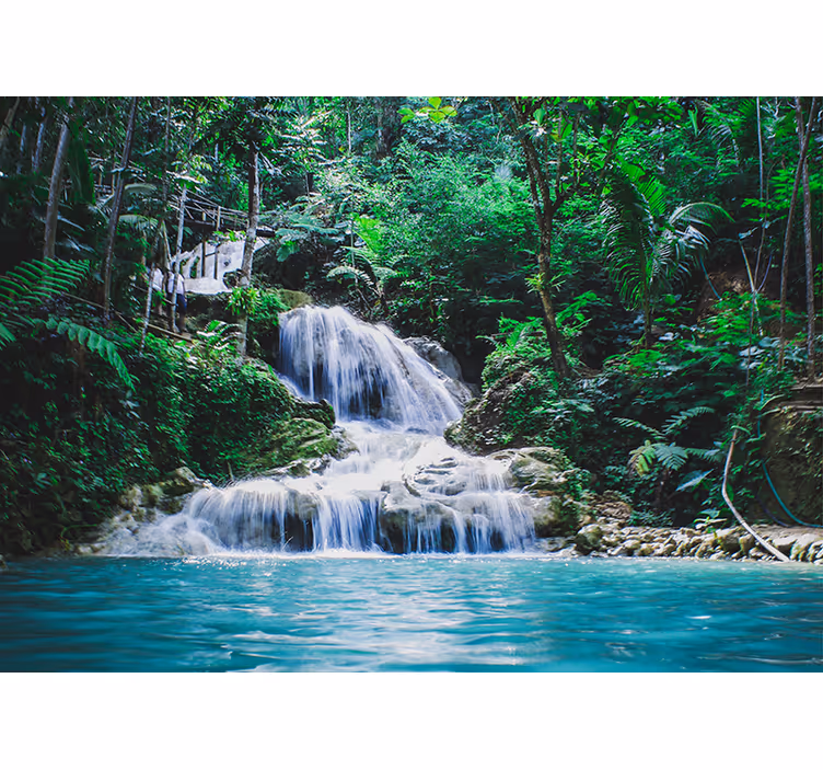 Evadare la un mural de copac din pădurea tropicală - TenStickers