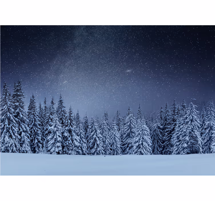 Fototapet natura peisaj de pin înzăpezit - TenStickers