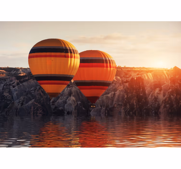 Fototapet natura aer cald plutitor - TenStickers
