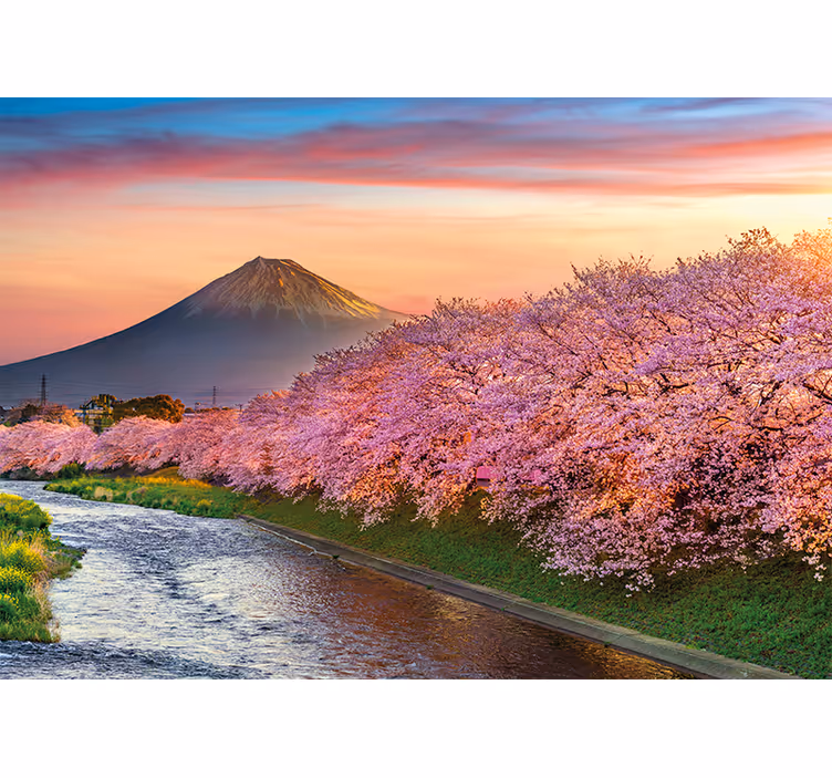 Mural de perete natură pădure floare de cireș - TenStickers