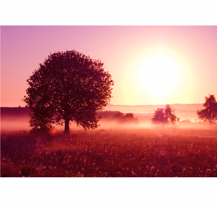 Fototapet natura copac la apus - TenStickers