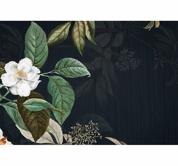 Fototapet cu flori floare albă elegantă - TenStickers