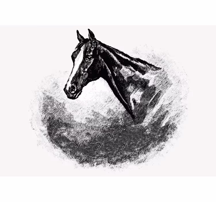 Fototapet animale cap de armăsar - TenStickers