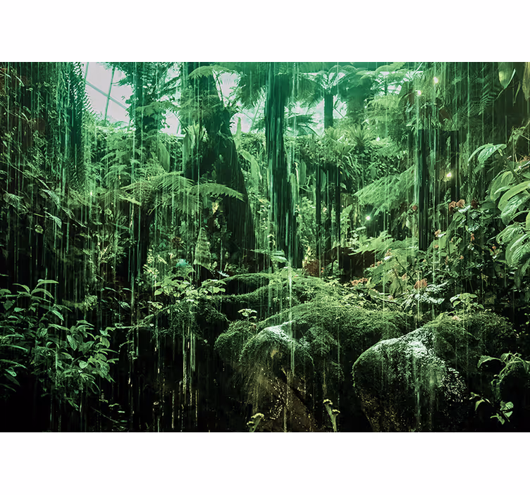 Mural amazonian tempus life forest mural - TenStickers