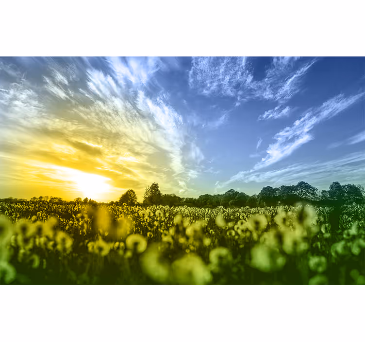 Fototapet cu flori pădure de flori la apus de soare - TenStickers