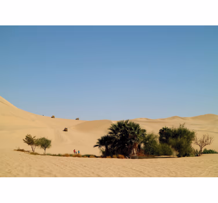 Deșert fototapet oază de dune nisipoase - TenStickers