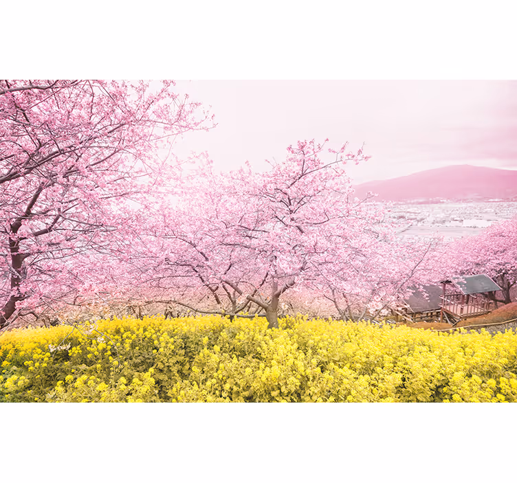 Fototapet cu flori liniștea florilor de cireș - TenStickers