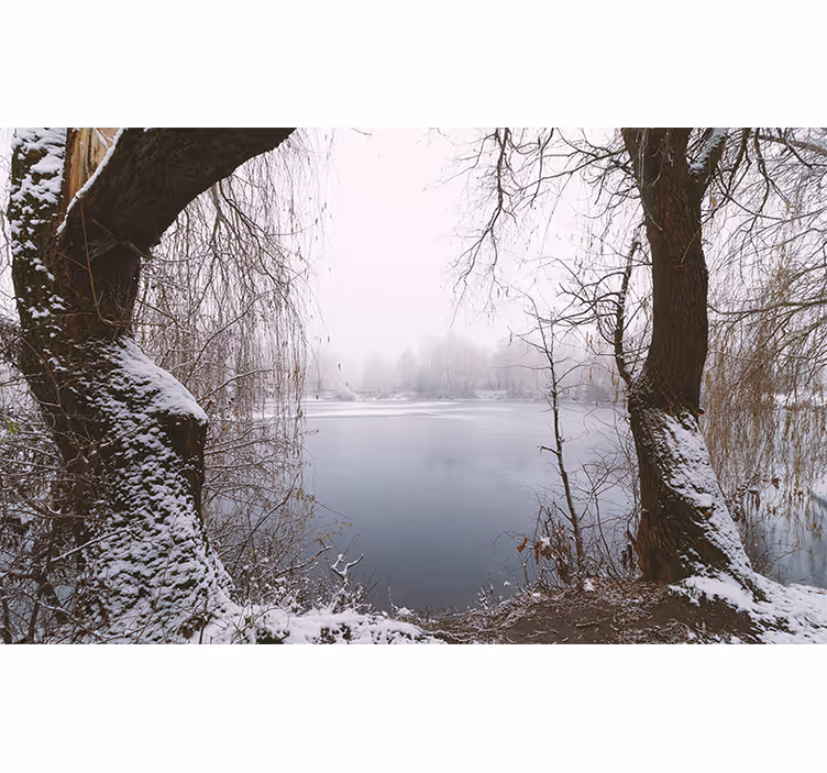 Muntele Fototapet vedere la lacul înghețat - TenStickers