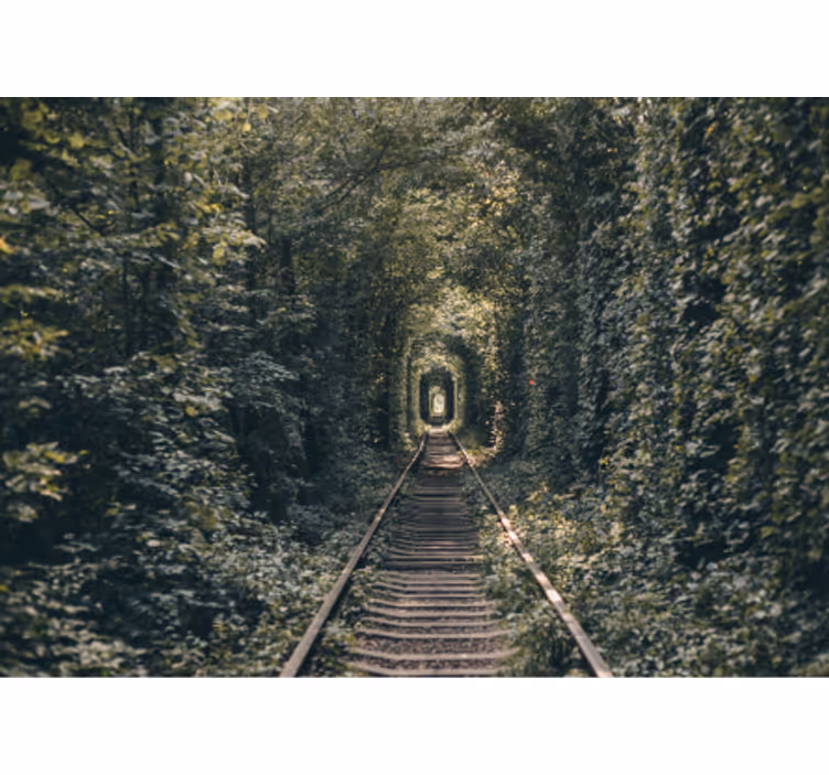 Fototapet peisaje calea tunelului forestier - TenStickers