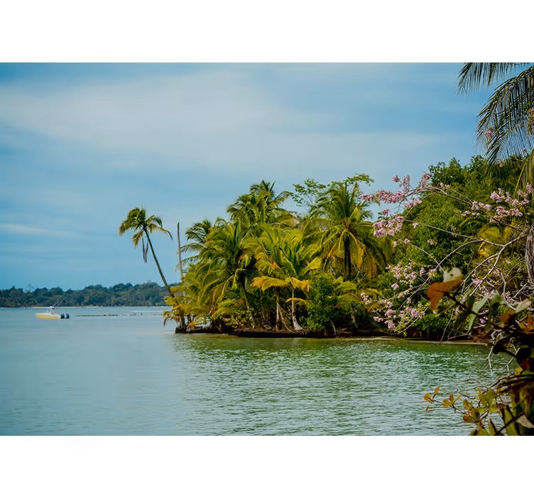 Fototapet natura oază insulară tropicală - TenStickers
