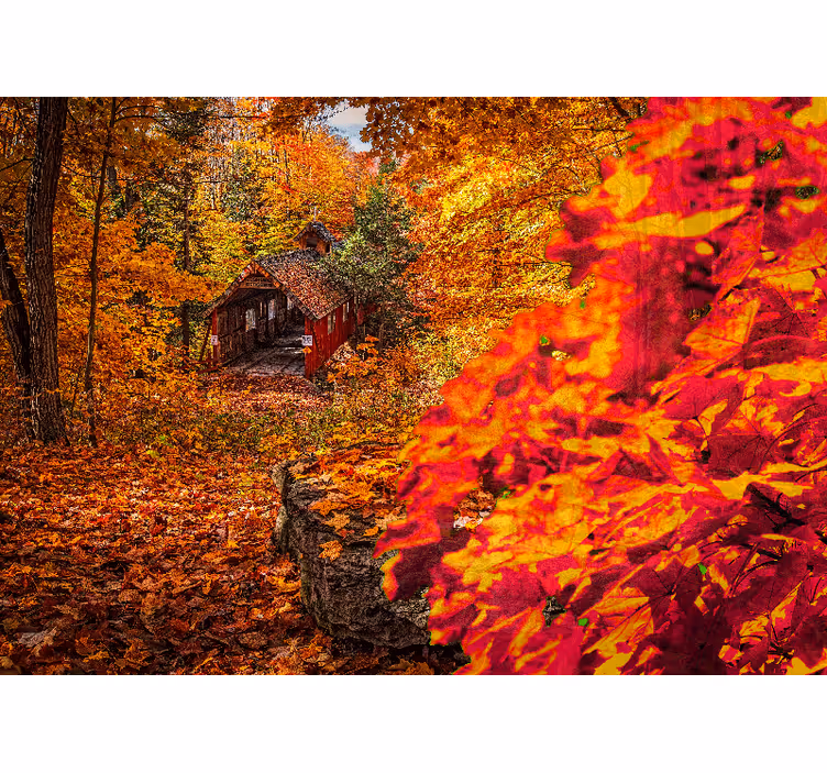Fototapet peisaje peisaj cottage de toamnă - TenStickers