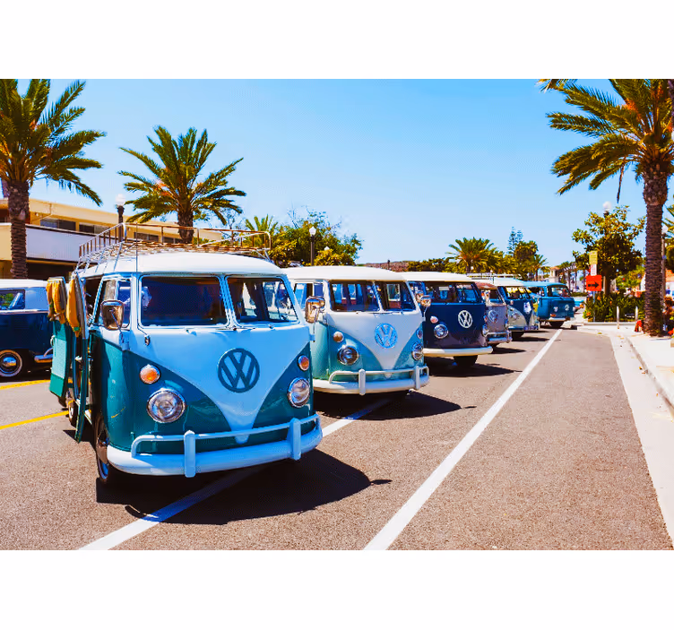 Fototapet vehicule volkswagen vans clasice - TenStickers