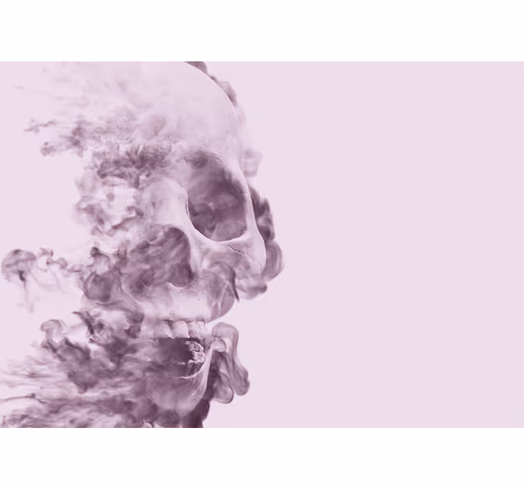 Fototapet animale siluetă de craniu fumuriu - TenStickers