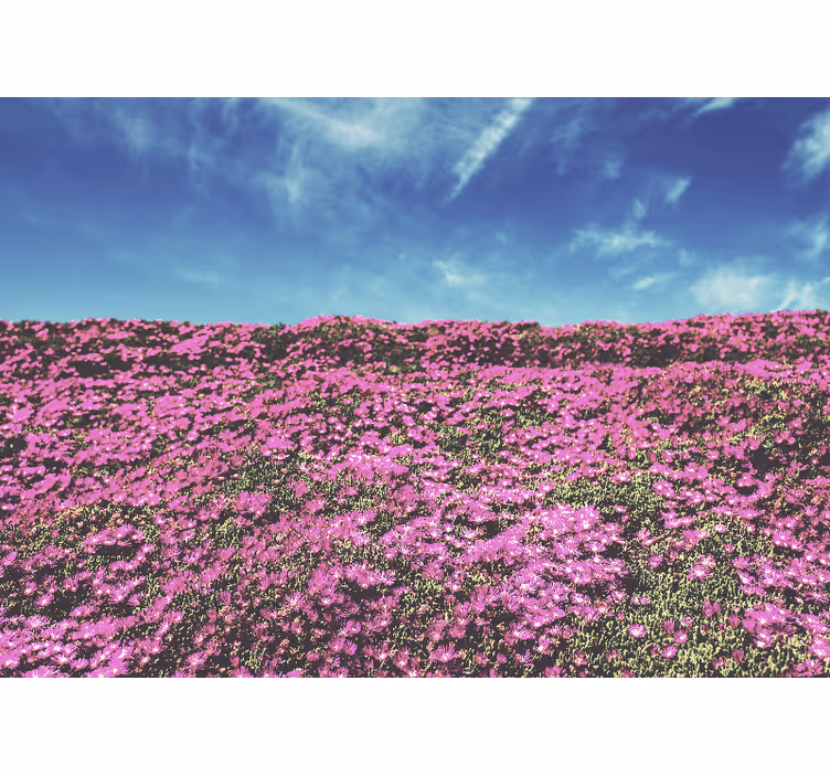 Fototapet cu flori flori roz vibrante - TenStickers
