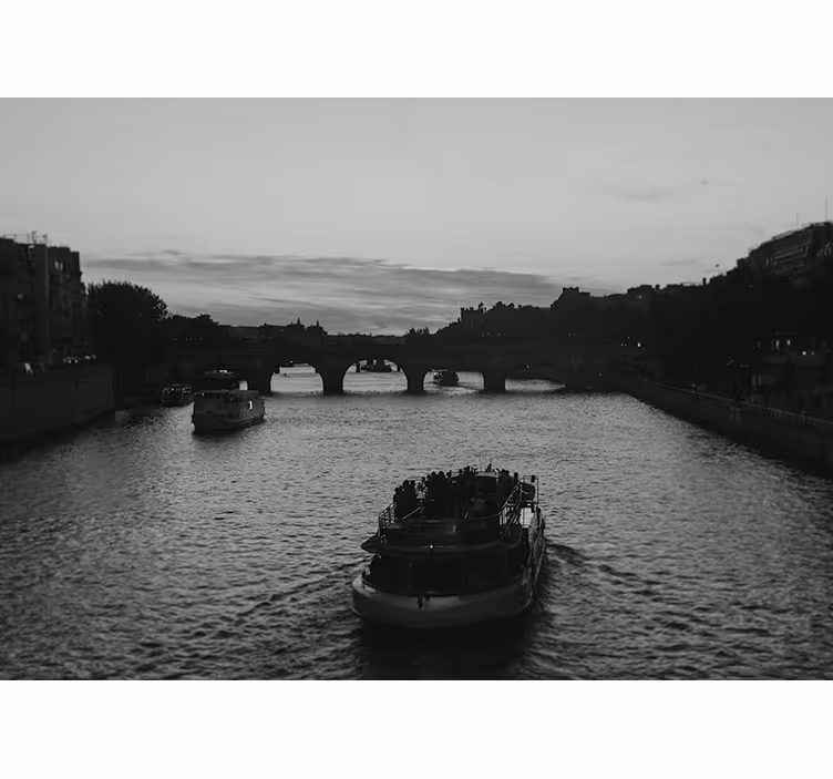 Fototapet de oraș vedere la râul parisului - TenStickers